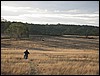 146_4634.jpg