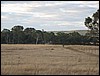 146_4639.jpg